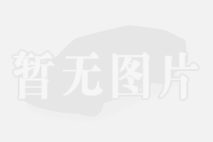 吉利发布“神盾金砖”电池品牌，“科技硬核SUV”银河战舰全球首发