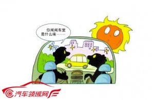 健康座舱 无惧高温 好猫vs海豚谁才是夏日出行神器
