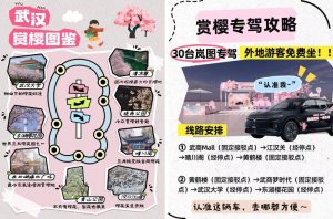武汉樱花季浪漫启程！“赏樱专驾”岚图知音免费接驳服务正式上线
